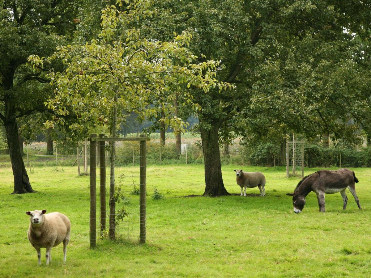 Beautiful Farmhouse In Beernem With Big Garden Exteriör bild